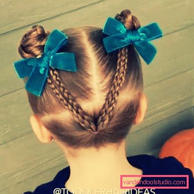 Braid Horns