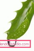 Aloe za kosu i vlasište