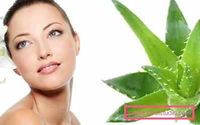 Aloe Vera za kožu Aloe Vera za kožu