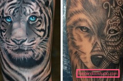 Tigar i vuk na ruci Tigar i vuk na ruci