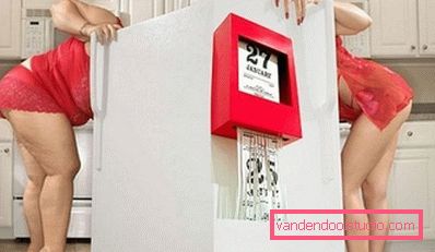 vitka i debela žena u hladnjaku vitka i debela žena u hladnjaku