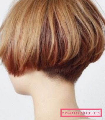 Frizura trim - stražnji pogled Spektakularna i elegantna frizura na nozi