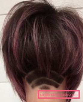 Frizura trim - stražnji pogled Spektakularna i elegantna frizura na nozi