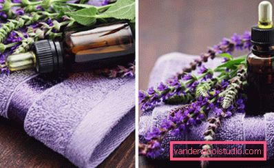 lavanda