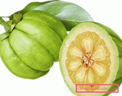 garcinia cambogia voće garcinia cambogia voće