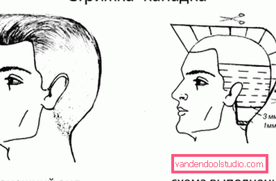 Kanadski - najsuvremenija muška frizura