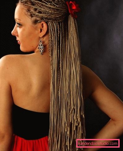Zizi kosa Pigtail zizi - kako tkati