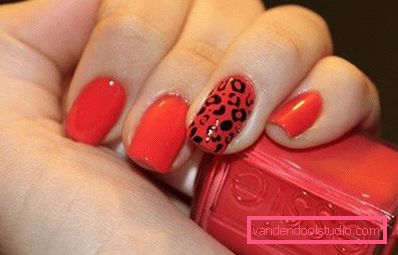 dizajn leoparda dizajn leoparda