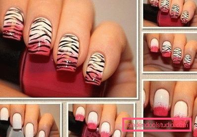 degradirana zebra degradirana zebra