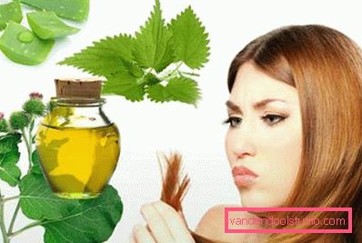 koprive i aloe koprive i aloe