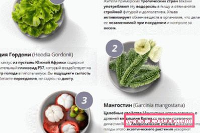 glavne komponente