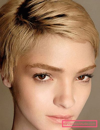 Francuska frizura Sorte i styling francuske frizure