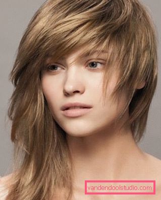svijetlosmeđi model