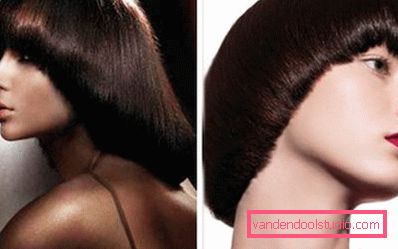 stranica