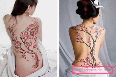 Sakura na poleđini djevojke Sakura na poleđini djevojke