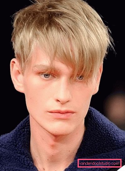 Muška frizura s bangs - duga kosa Mogućnosti za muške frizure s bangs i styling