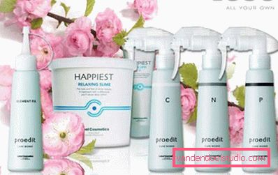 japanski ispravljački pribor japanski ispravljački pribor