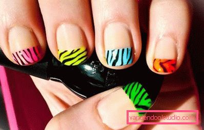 dizajn zebre dizajn zebre